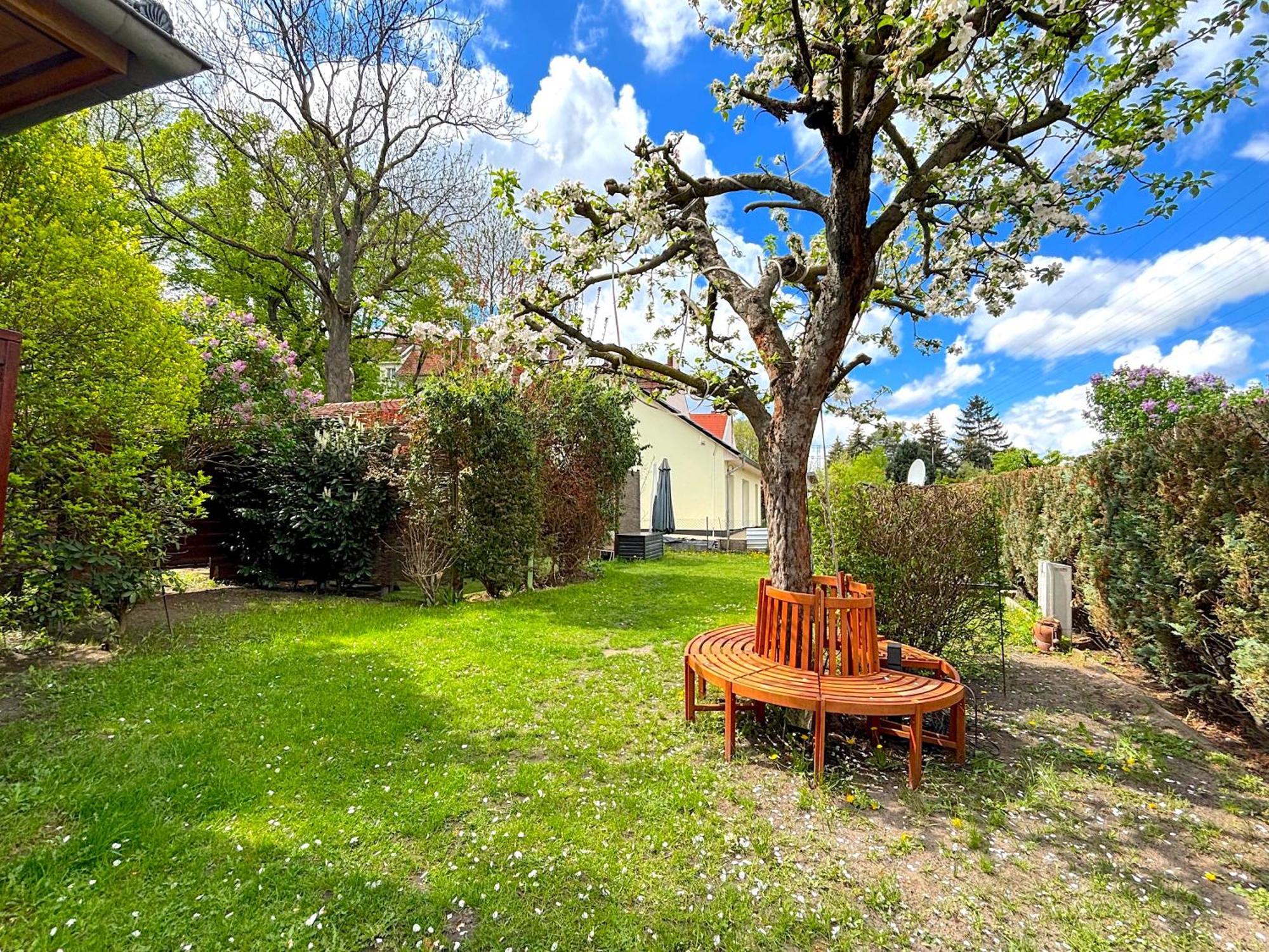 | Garden, Terrace, Nature Ferienhaus